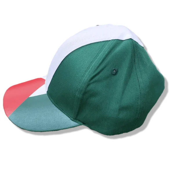 Full Palestinian Flag Design Baseball Cap/Hat - Image 3